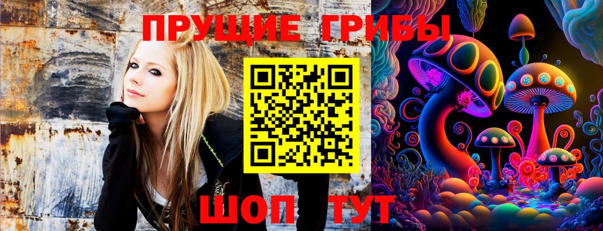 Псилоцибиновые грибы Psilocybe Мыски