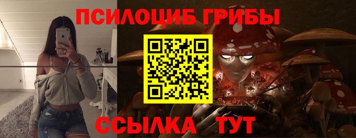 Псилоцибиновые грибы ЛСД  Псилоцибиновые грибы ЛСД  Вход с VPN  Мыски 